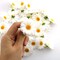 Fabric Daisy Flower Head 100PCS 1.5Inch White Artificial Gerbera Fake Flowers Heads for Wedding Party and DIY Craft